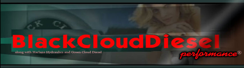 Nilsen Corp dba BlackCloudDiesel Performance